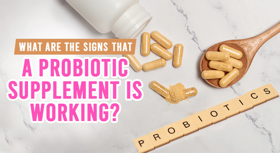 Strong Probiotics: Leading Routines for Loss of Weight